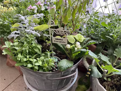 Gartenpfähle aus Metall